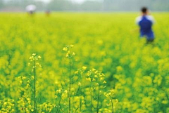 飞水儿啊采集到素材—旅游美图