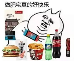 52737做肥宅真的好快乐 斗图 表情包 花瓣搜索【关键字+飞天胖虎】可以找到系列表情包