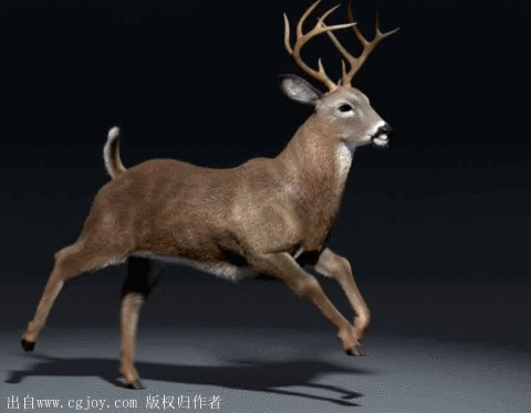 480_374gif 动态图 动图