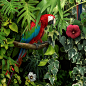 Canopy : "Canopy", a new large-scale image created as a diptych, featuring a highly stylized and patterned vision of the jungle canopy, with tropical plants, hibiscus flowers, and red macaws. I wanted to create a beautiful and captivating image 