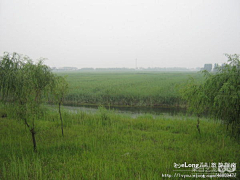 Xiangcunyelang采集到图片白洋淀-多图, 洛紫