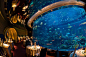 The underwater themed Al Mahara Restaurant in the Burj al Arab Hotel, Dubai, United Arab Emirates | Blaine Harrington III