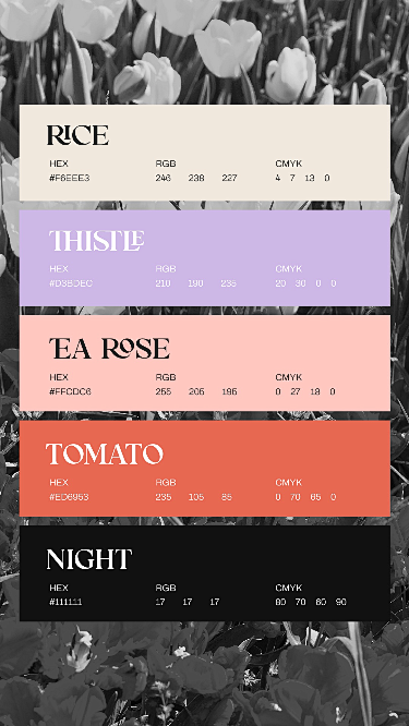 Color Palettes -  采集...