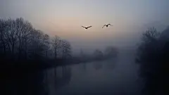 夜空（电脑壁纸） : 夜空高清壁纸 本文长期不定时更新！注：图片主要来源于国际无版权网站，个别来源于网络，如涉及侵权，请联系删除。白某share 公众号：白某share分享手机、电脑：优质软件、使用技巧。免费赠送长期收集资源：影视、…