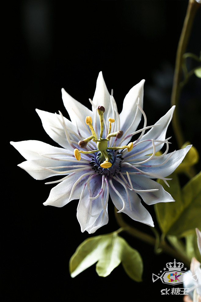 英式糖花《西番莲》