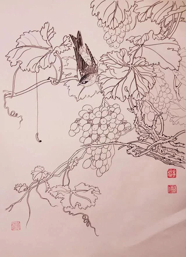 钢笔花卉白描达人叶志军先生的钢笔画分享