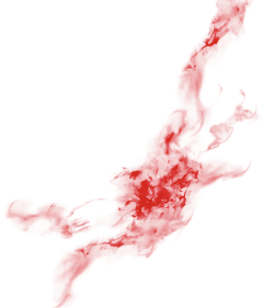一点都不凶的娃娃鱼采集到素材
