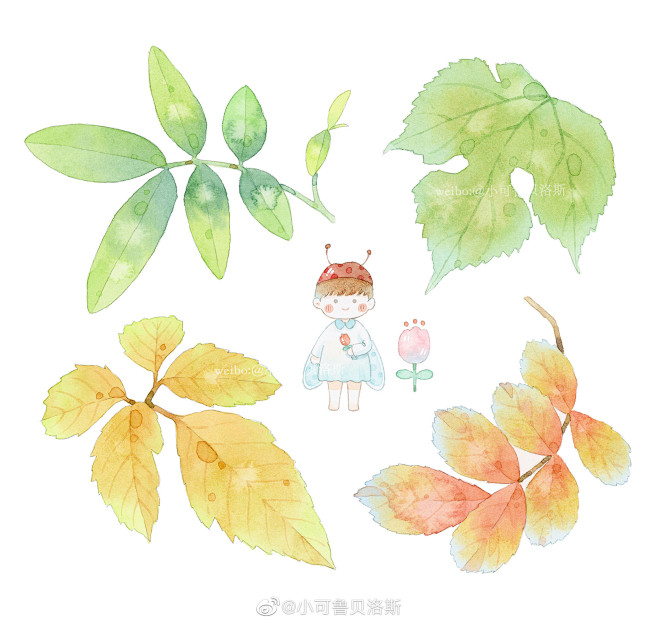 小可鲁贝洛斯的微博_微博