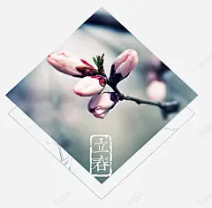 汉族民间桃花节立春海报 免费下载 页面网页 平面电商 创意素材