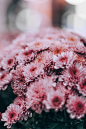 Vertical Photography Composition to Improve Aesthetic Consciousness —— 精选美图，关注画板，定期更新！