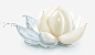 白色百合花卉花朵鲜花手绘透明冰清仙子冒险家的旅程3高清素材 png 设计图片 免费下载 页面网页 平面电商 创意素材