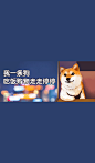 单身狗趣味微信状态背景图