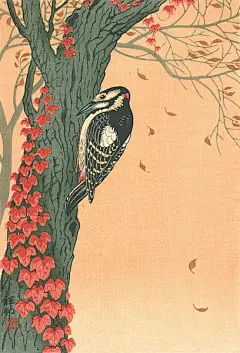 【小原古邨（日本）绘画作品】