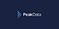 Peak Data : Branding developed in 2014, for an energy retailing company located in Australia.