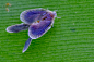 67171ca05b959cq1zi4xab9357
