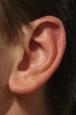 ear reference photo,...
