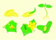 卡通黄瓜  - 源文件下载【酷图网】卡通黄瓜素材,黄瓜,黄瓜海报,广告,蔬菜,可爱,宣传,基地,黄瓜素材,图片,包装,美味,新鲜黄瓜,卡通黄瓜,插画,插图,免扣,素材,元素,矢量,卡通,手绘,手绘黄瓜,黄瓜图标,标志,logo,简约,黄瓜图案,黄瓜插画,儿童绘本,矢量黄瓜,卡通蔬菜,食物,美容,绿色,简笔画,水果,扁平,精美,黄花