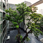 泰国via botani 景观设计 by Openbox Architects-mooool设计