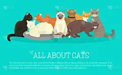 猫显示旗帜梳理或兽医猫飞行矢量插图。可爱的小猫宠物海报。有趣的动物工作室。可爱的友情广告小猫性格。