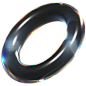 Glass Ring  3D Icon