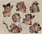 Platypus sketches by Polarkeet on DeviantArt