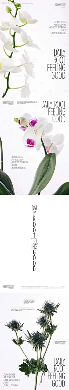 花店植物创意系列海报-源文件【享设计】