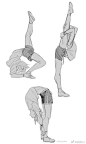 【#绘画参考# 】柔韧性超强的体操动作练习参考
