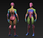 Simple Human Anatomy Study, Jimmy Wijaya : The goal is to study anatomy in simplified form of muscle groups based on Sycra's concept.
Also it's good starting point to sculpt on basemesh with separated objects as some areas are tricky to sculpt (for exampl