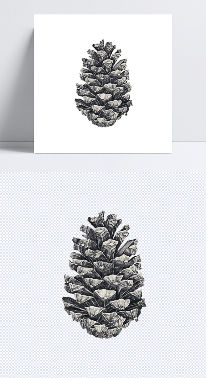 手绘松子|卡通,手绘,装饰,png,元素,素描,松子,黑色