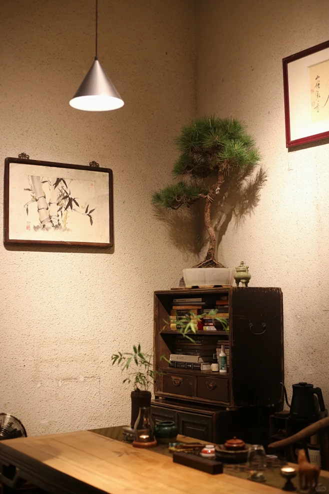 回来咯 明天约茶茶 - 小红书