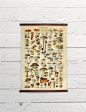 Vintage Mushrooms Larousse Natural History Canvas Poster Print | Etsy