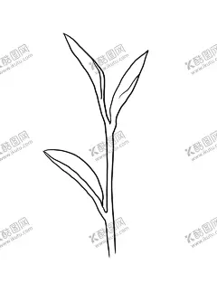 茶叶 【酷图网】茶叶,茶,茶插画,茶手绘,茶图片,手绘,红茶,白茶,绿茶,黑茶,乌龙茶,黄茶,叶子,树叶
