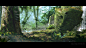 jean-pierre-lapointe-secret-of-the-rainforest.jpg (1920×1080)