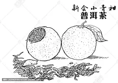 小青柑普洱茶插画
