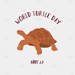 5月23日——世界海龟日