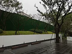 龟背型地被_3614812369