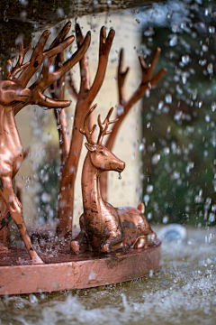 AwYxrRye采集到A-SCULPTURE--DEER