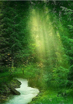 时光,是流动的画面,总是将沧桑深深镌刻,将幸福浅浅收藏,一径深浅,一