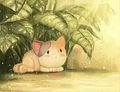 一个人躲雨的时候······你想起了什么？——随笔