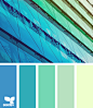 配色 颜色 色系 平面 设计 ------- 海量平面素材尽在 ---> @花道士