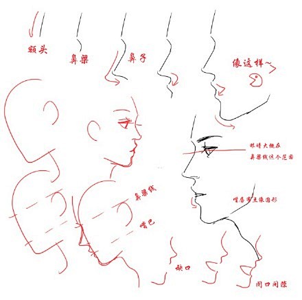 #绘画参考# #汉化# 耳朵和鼻子的画法...