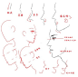 #绘画参考# #汉化# 耳朵和鼻子的画法。简单易懂，你值得拥有~（by kelps）