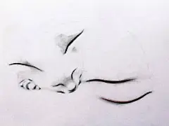 寥寥几笔简笔画，变出一只大猫咪

作者：Kellas Campbell#手帐素材插画手绘##简笔画# ​ ​​​​