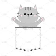 缅因州,猫,口袋,手牵手,正下方视角,灰色,可爱的,野生动物,直的,给予