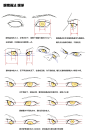 绘画笔记|人体结构 眼睛画法 瞳孔
