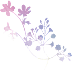 尔栖chili采集到花纹