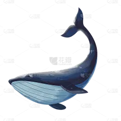 手绘-海洋生物元素-鲸鱼