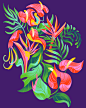 pattern noise gradient texture abstract artwork Tropical textile design  tropical birds anthurium