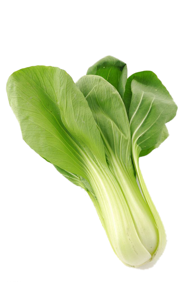 真实蔬菜各种食材 白菜马铃薯西红柿胡萝卜...