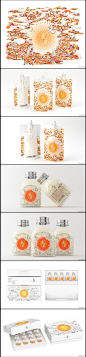 极燕-鲜炖&固体浓缩&轻食&孕盏&冰淇淋-5种系列燕窝品牌包装-国内设计